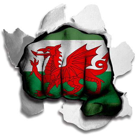 Fist Wales Flag Logo iron on paper